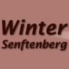 Winter Senftenberg